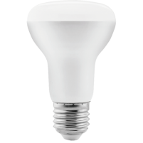 LED R Bulb series